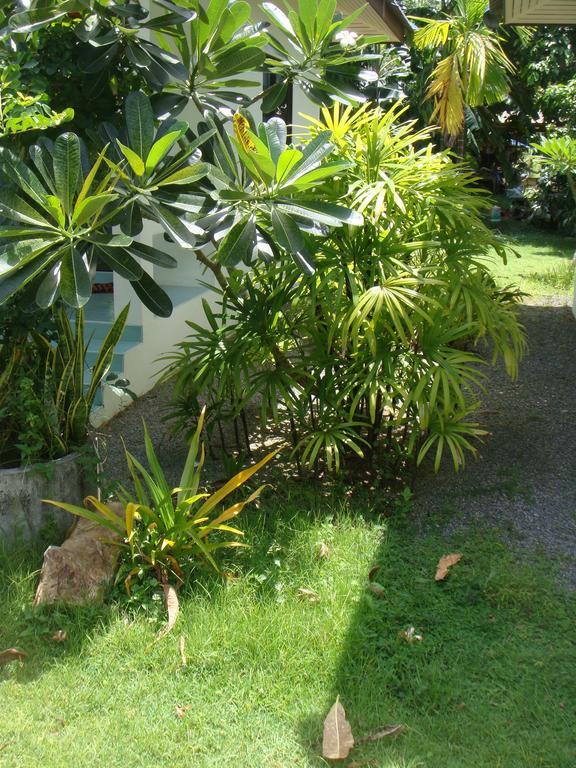 Baan Kuasakul Resort Mae Nam Beach Eksteriør bilde